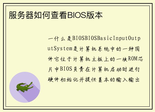 服务器如何查看BIOS版本